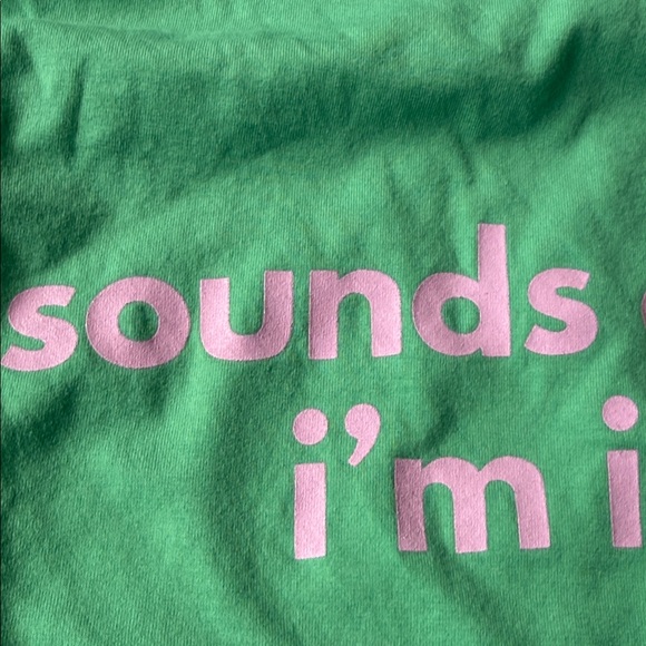 Ruby Loot t shirt in size small SOUNDS GAY, I'M IN - Picture 6 of 9